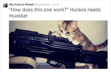 ISIS cats 