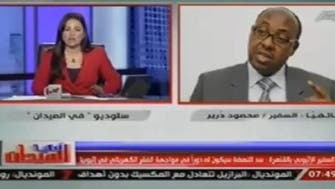 Egyptian TV host scolds Ethiopian envoy on air