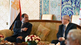 Sisi urges anti-terrorism coordination on Algeria visit