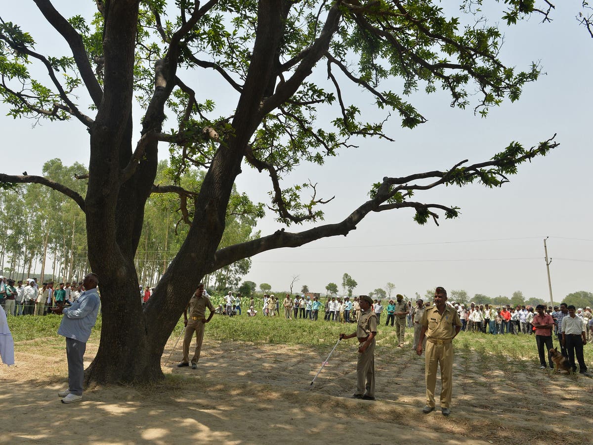 Forest Gangrape Xxx Videos - Indian village council accused of ordering rape of 14-year-old girl | Al  Arabiya English