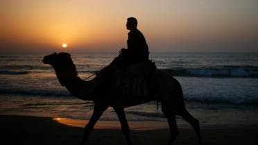 man rides a camel during sunset on the beach. (Reuters)