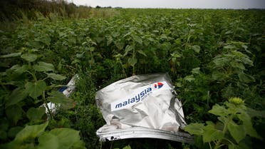 MH17 plane crash Ukraine