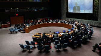Arab U.N. draft resolution backs Egypt's bid for Gaza ceasefire