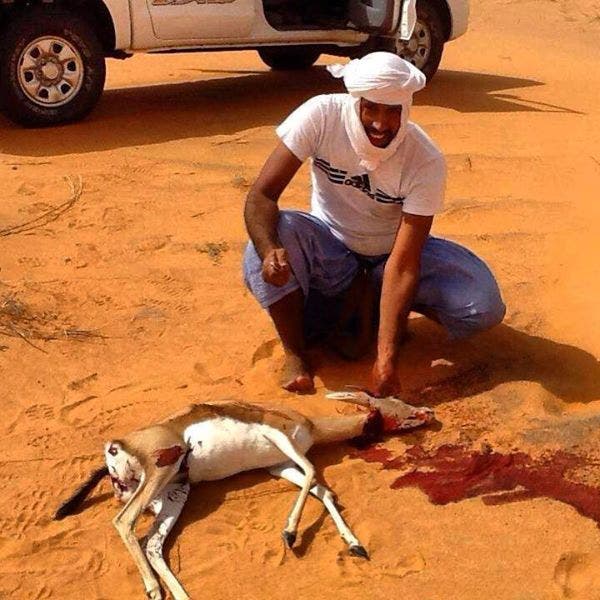 الصيد البري يهدد الحيوانات في موريتانيا