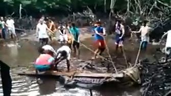 Giant crocodile caught in the Philippines 