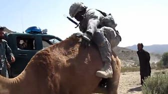 Video shows soldiers unsuccessfully attempting to mount camels