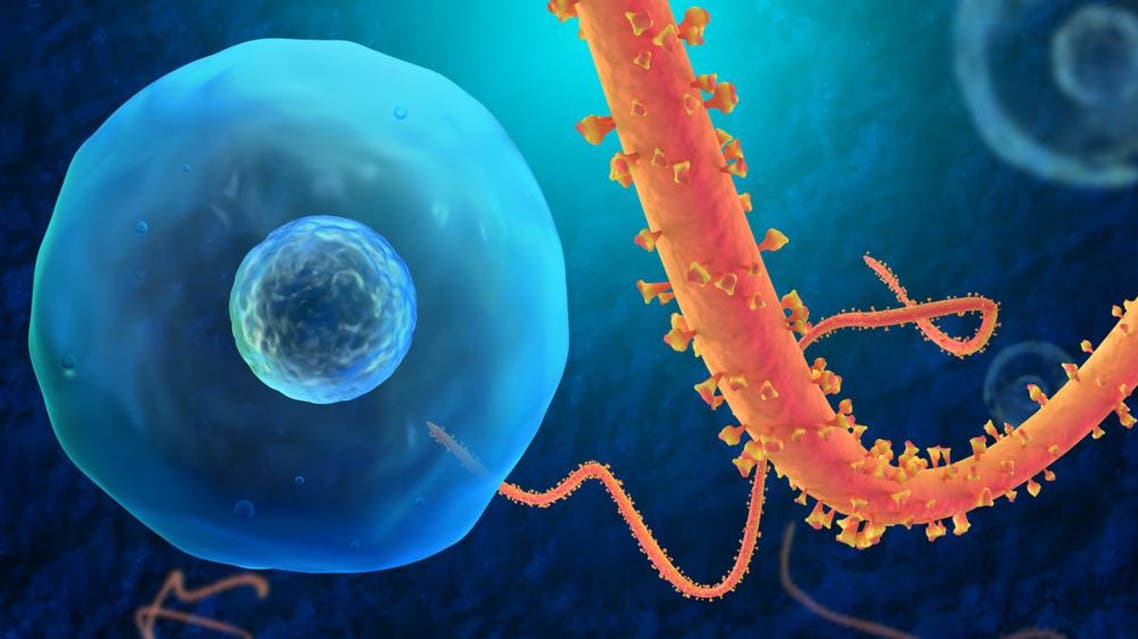ebola