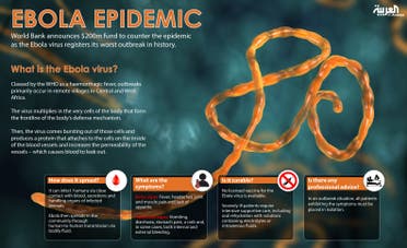 Infographic: Ebola epidemic