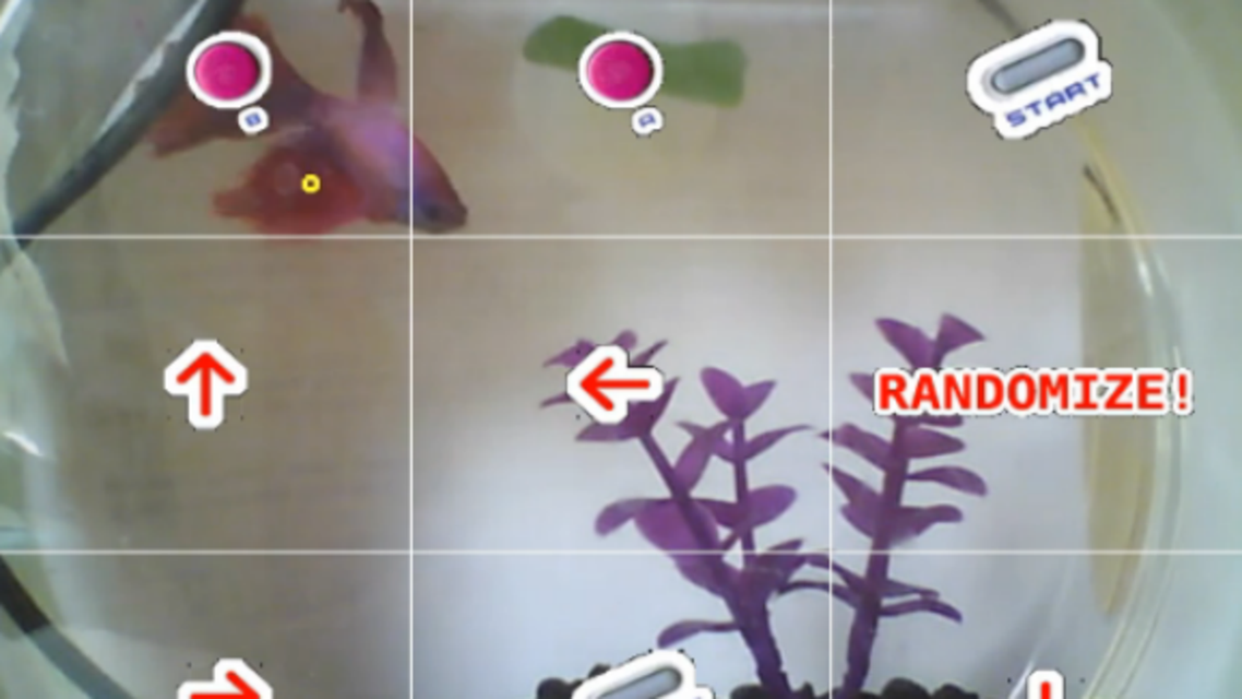 twitch