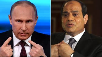 Egypt’s al-Sisi and Russia’s Putin discuss developments in Ukraine: Presidency