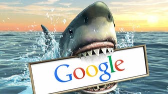 Do sharks hate the Internet? Google faces under-water predators 