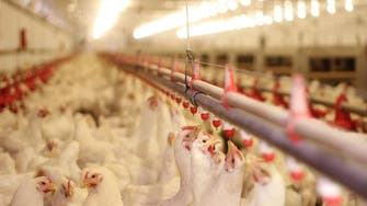 Israel ends export to EU of settler dairy, poultry produce 
