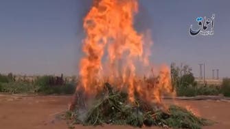 Video shows ISIS burning marijuana in Syria