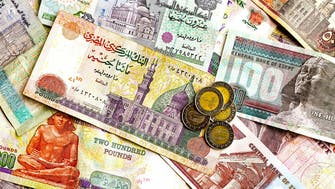 Egypt foreign reserves close to July level - central bank governor