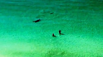 Shocking video shows two swimmers circled by a shark in Florida