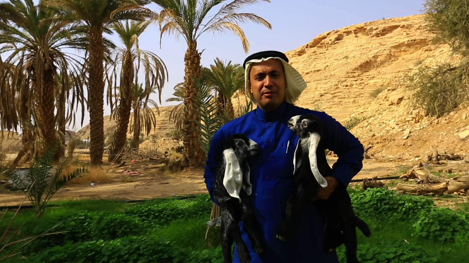 على خطى العرب