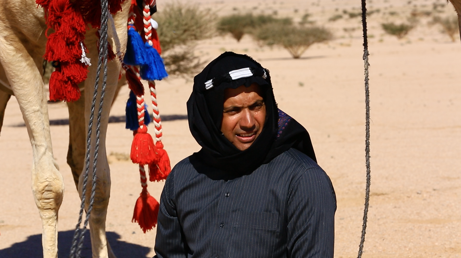 على خطى العرب