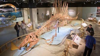 Alien-like giant water-living dinosaur unveiled