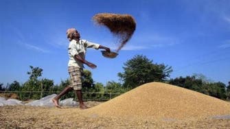 India soymeal exports to hit 10-yr low as Iran trims purchases 