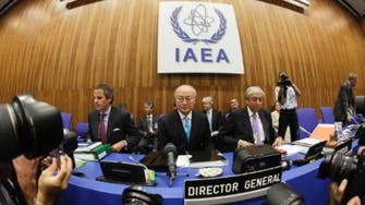 IAEA rejects Arab resolution to pressure Israel 