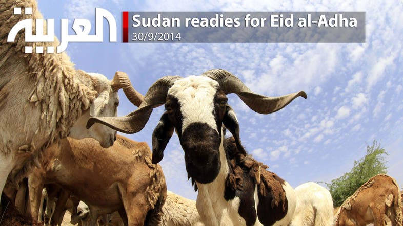 Sudan readies for Eid al-Adha - Al Arabiya English