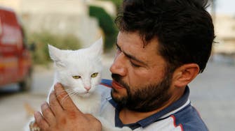 Syrian ambulance driver feeds Aleppo’s abandoned cats
