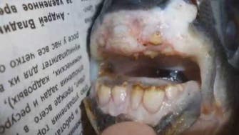 Fish with ‘human teeth’ caught in Russia