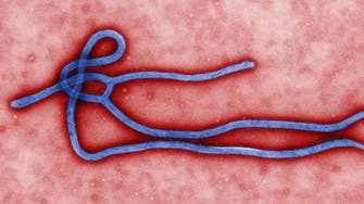 Experts warn of ‘Ebola suicide bombers’