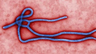 Scientists warn against complacency on Ebola vaccines