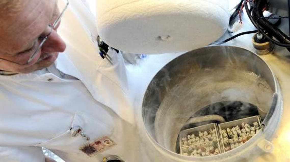 A batch of frozen eggs. (File photo:AFP)
