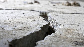 Magnitude 6 quake strikes western Iran 