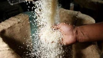 Egyptian government approves plan to allow rice exports 