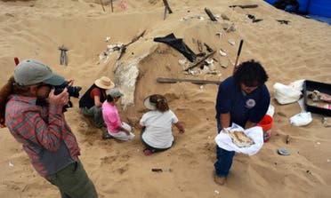 Archeologists uncovering the remains of the sphinx at Guadalupe Dunes in California. (Photo courtesy: AP)