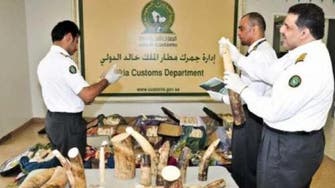 Saudi officials seize half ton of ivory at Riyadh airport