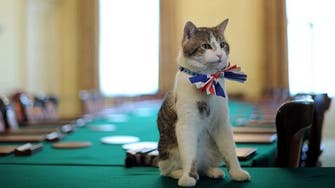 UK parliament catfight over mouse in the house
