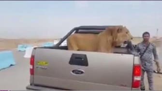 Iraqi fighters capture ‘king of the jungle’ in video