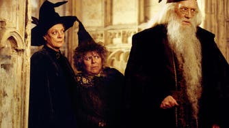 Harry Potter star blames Israel for ‘allowing’ anti-Semitism 