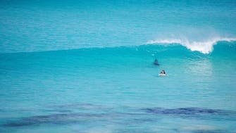Close call: White shark nears Australia surfer who holds still in water