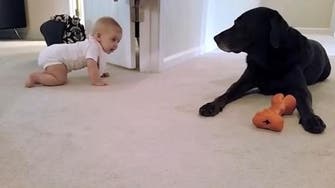 Watch heartwarming video of baby crawling to family dog
