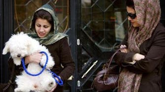 Iran’s dog owners could receive 74 lashes: report