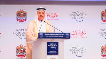 UAE Economy Minister Sultan Al Mansoori WEF 2014 