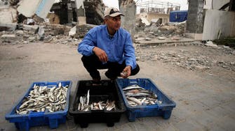 Israel allows Gaza fish exports to resume