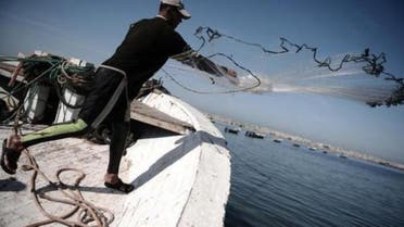 Gaza fish
