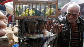 Viral return? 2nd Egypt bird flu death in two days