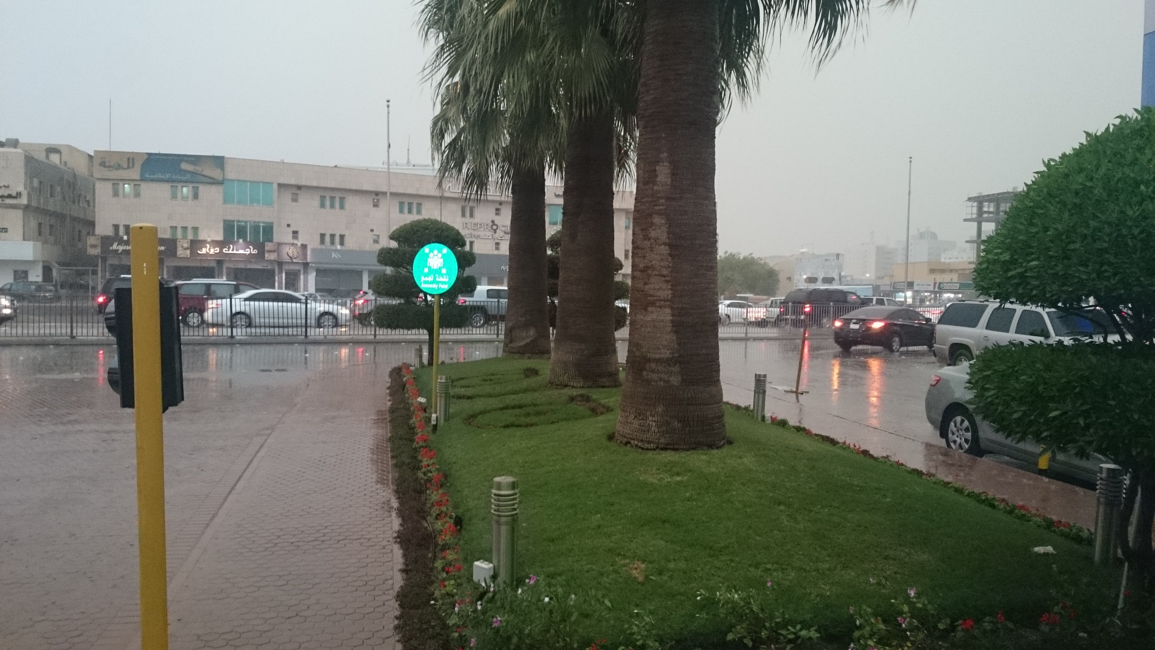 مطر الرياض