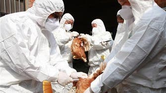 بعد كورونا.. الصين تحتضن سلالة جديدة من إنفلونزا الطيور