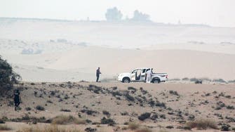 Egypt court sentences seven militants to death in Sinai case 