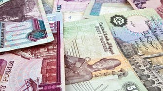 Egyptian pound steady at official auction, weaker on black market 