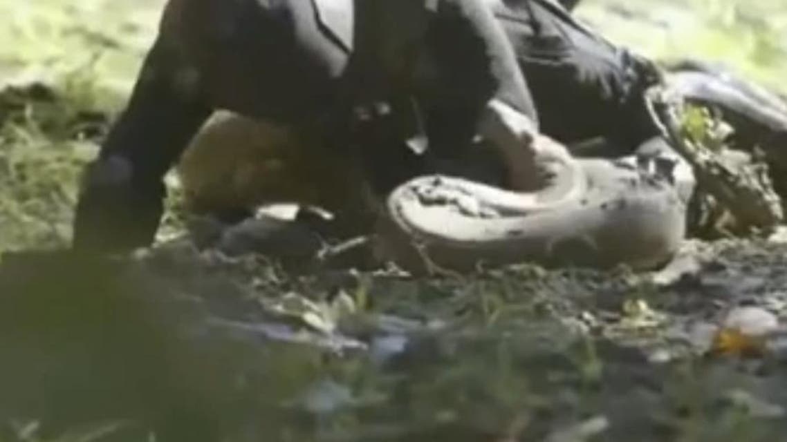 paul rosolie anaconda youtube