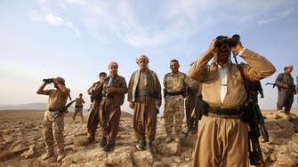 More than 700 Peshmerga killed since June